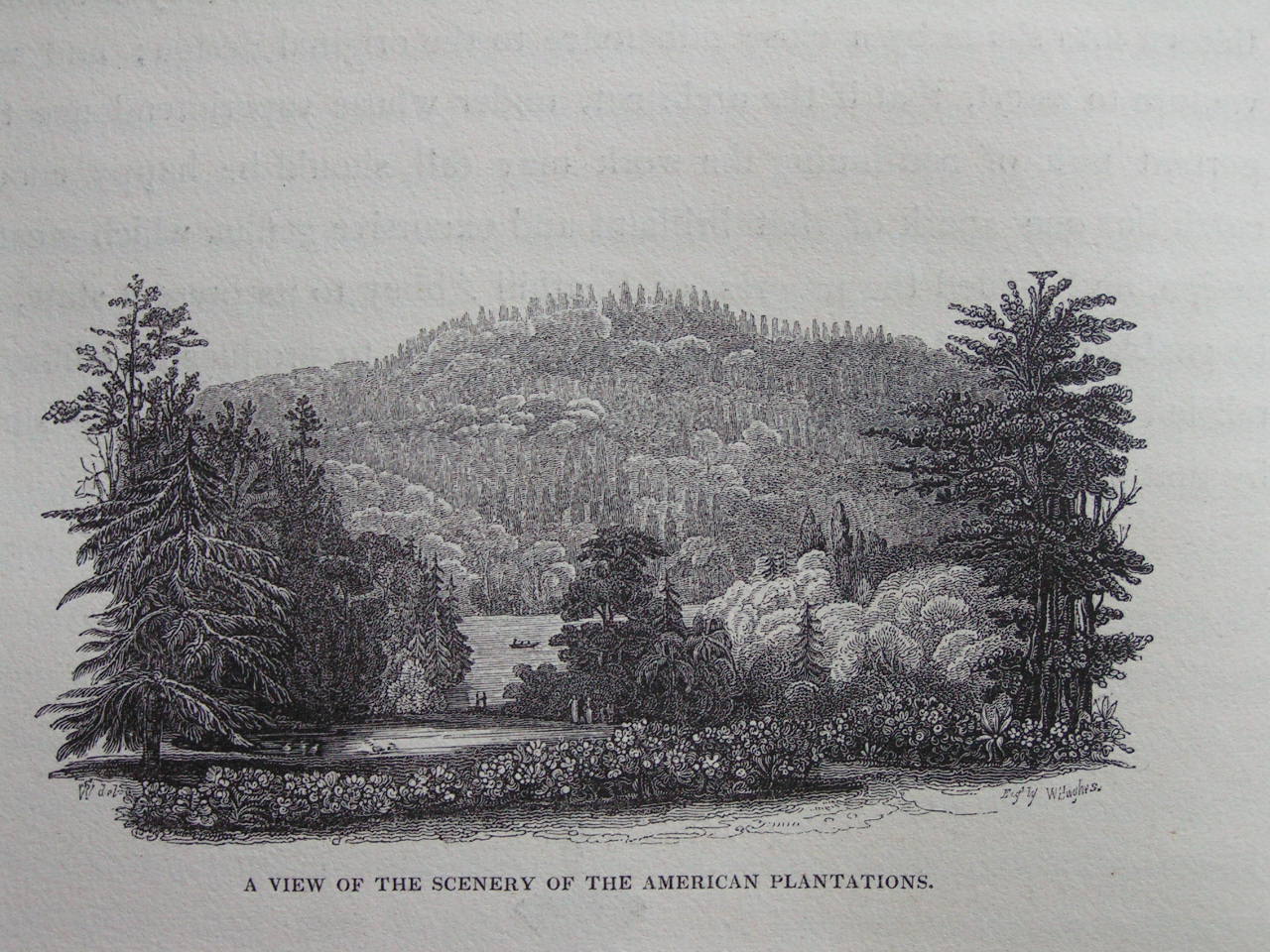 Wood - A View of the Scenery of the American Plantations. - Hughes